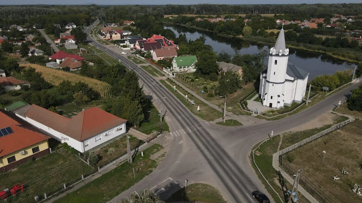 5 napak pri čiščenju, ki lahko škodujejo vašim hišnim ljubljenčkom