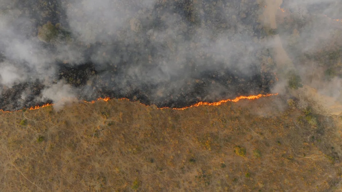 Fire is destroying the national park: seven helicopters and the army help the firefighters