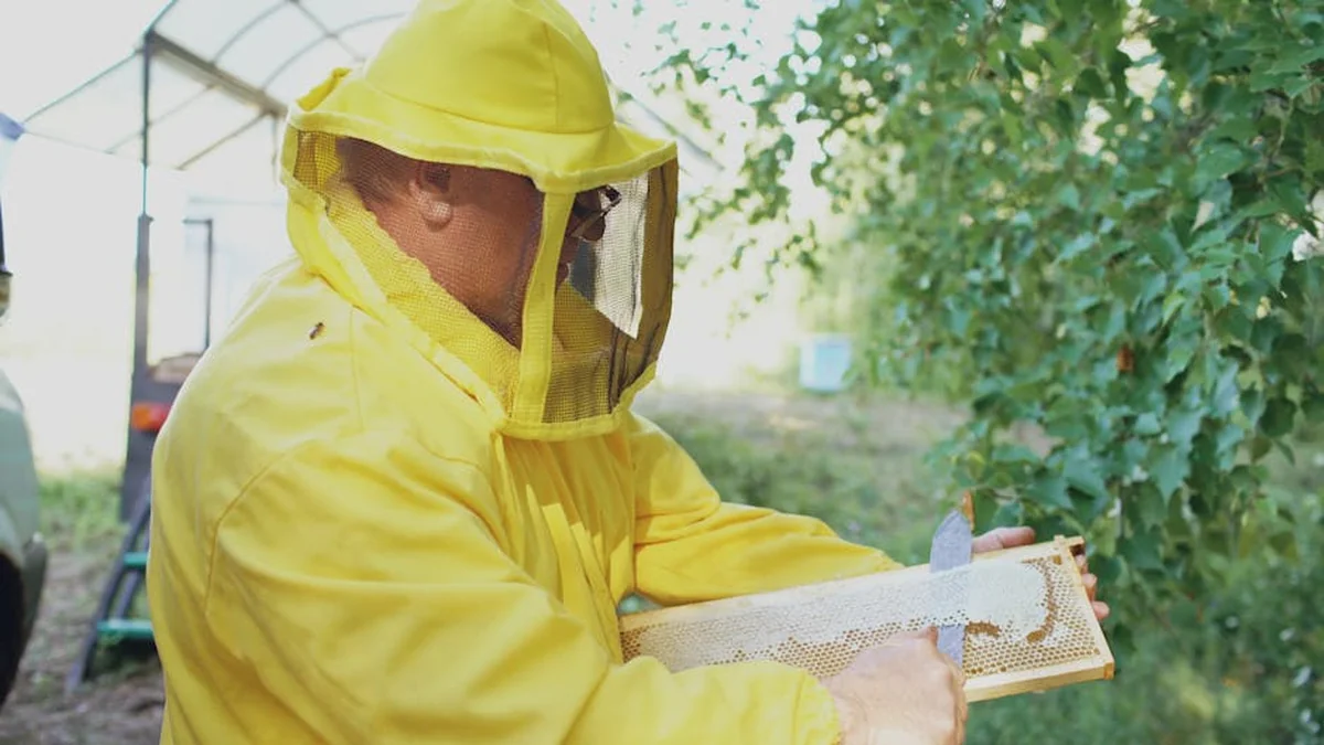 Lupingi, sodčki in že 240 ‘izgubljenih’ letal