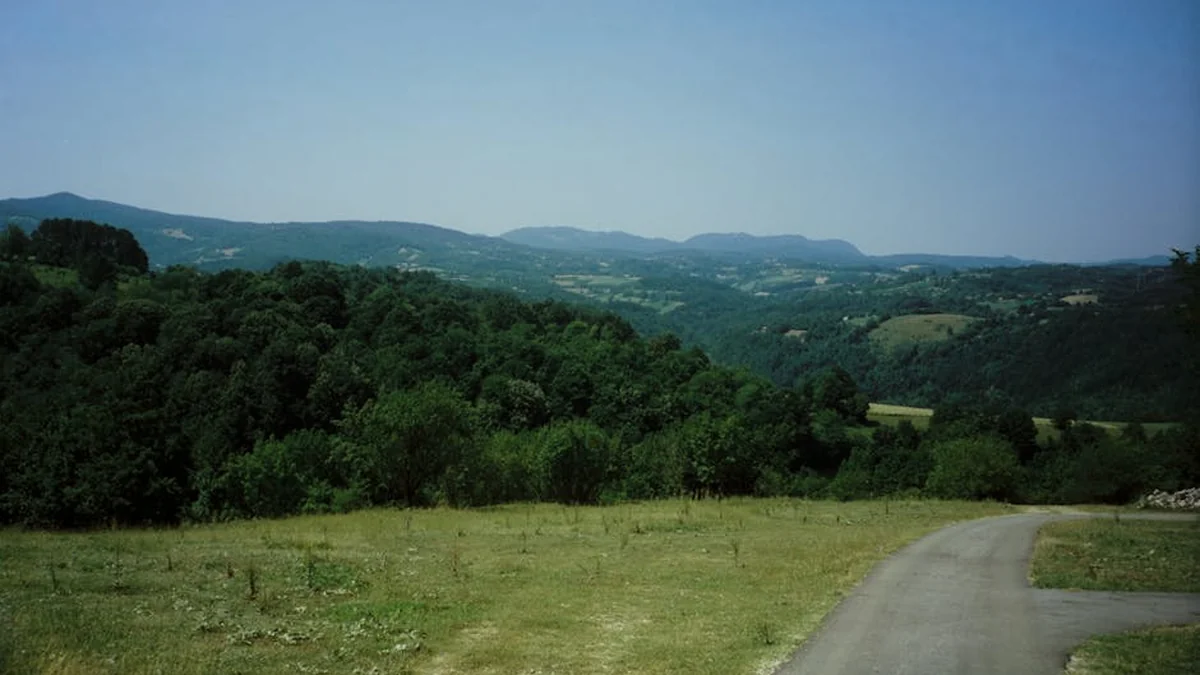 Reševanje iz Černobila: prestrašen losji mladič na varnem