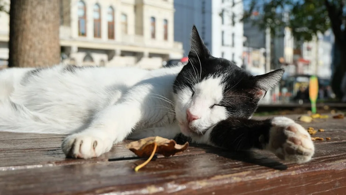 Rojeni Mariborčan postal častni meščan Ljubljane