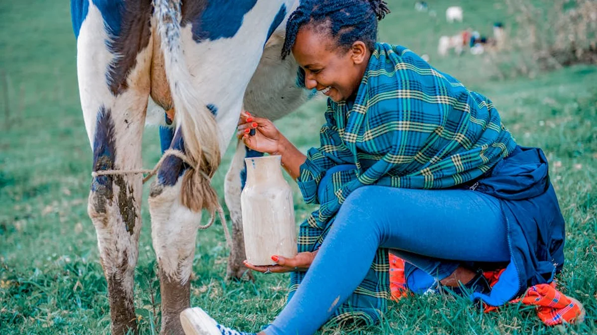 The study has finally revealed which milk is healthier for the heart
