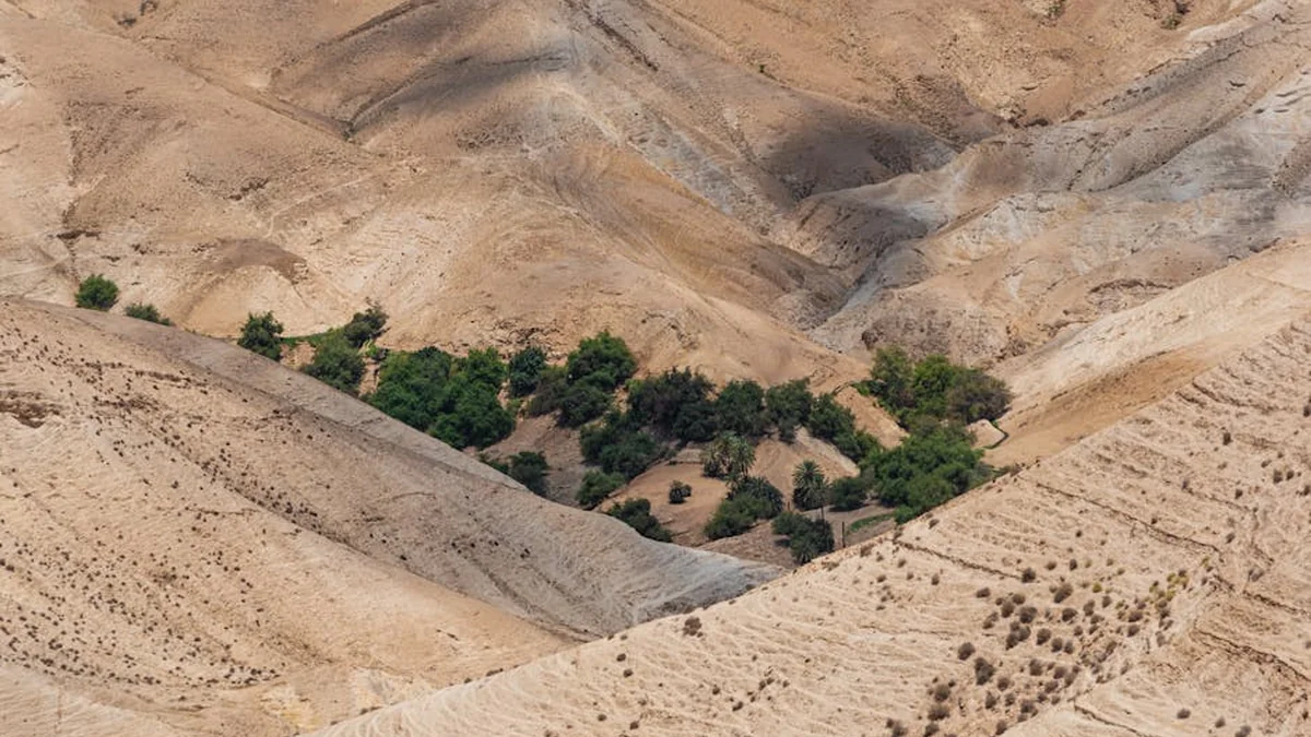 Hezbollah is supposed to stop fighting with Israel, which is continuing