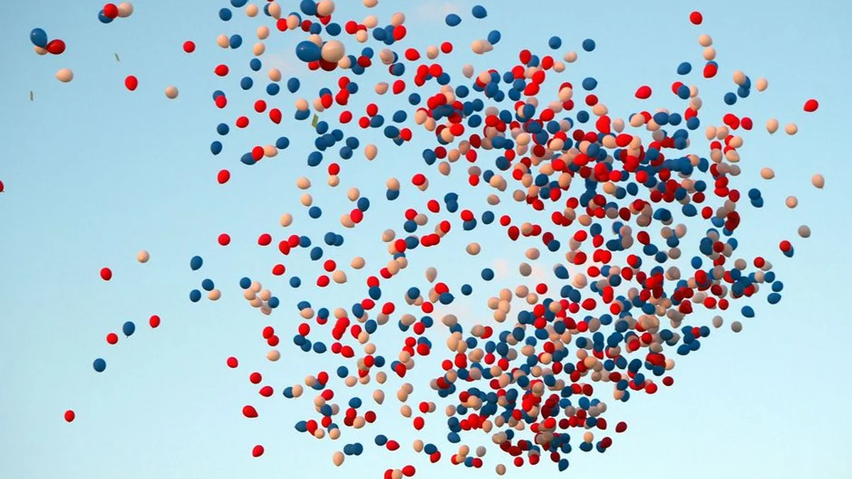 The Freedom MPs have announced a lawsuit against Stevanović
