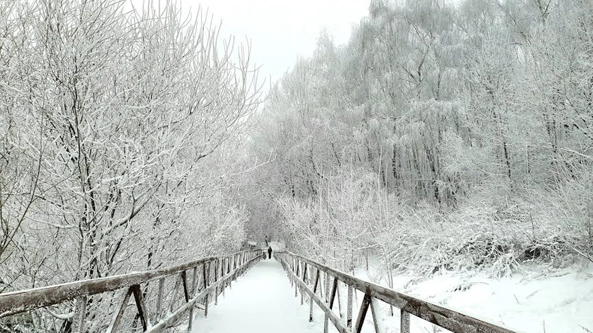 The most extreme bridges in Europe where people freeze in the middle of their walk