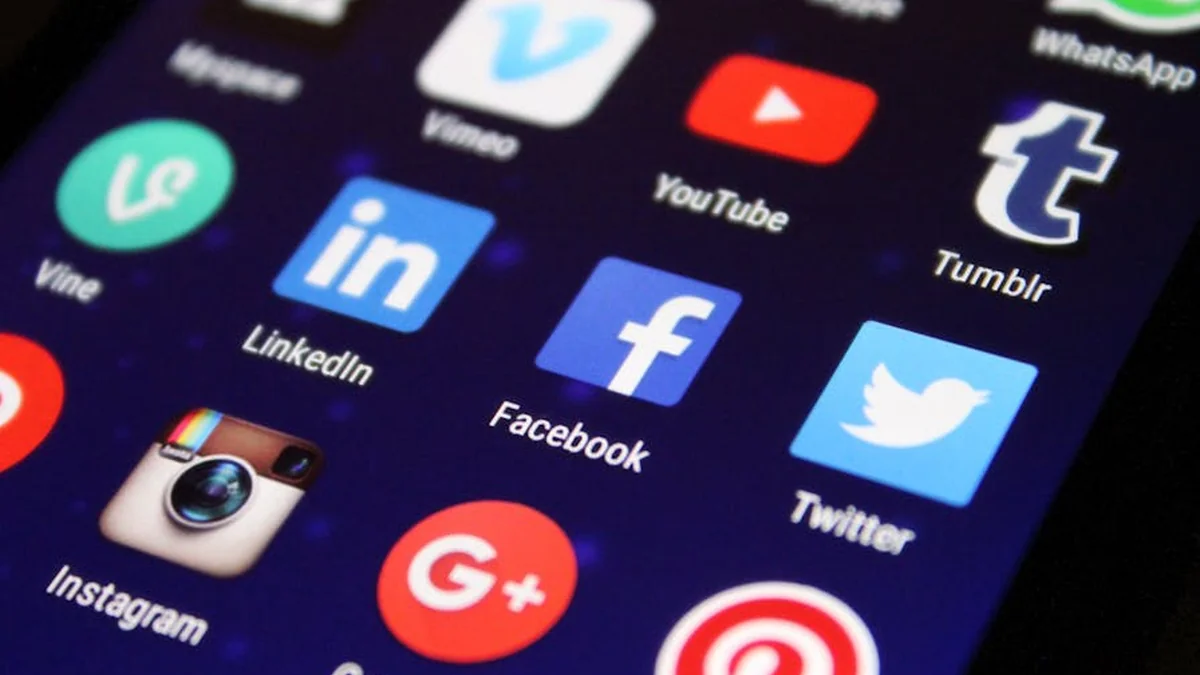The new government on network X has unblocked all blocked profiles