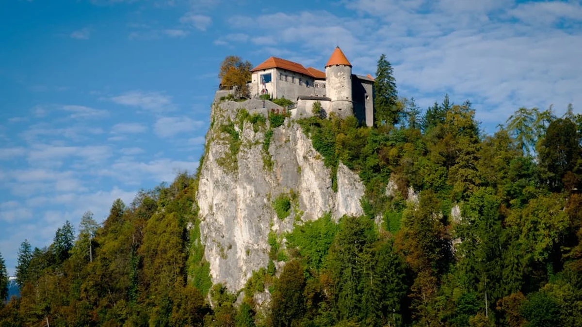 The Slovenian basketball jewel continues to amaze viewers
