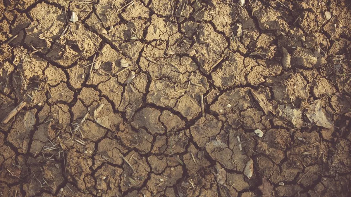 Due to the heat wave and drought, a warning for the whole country