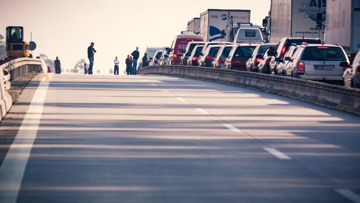 A bear got lost on the Croatian motorway