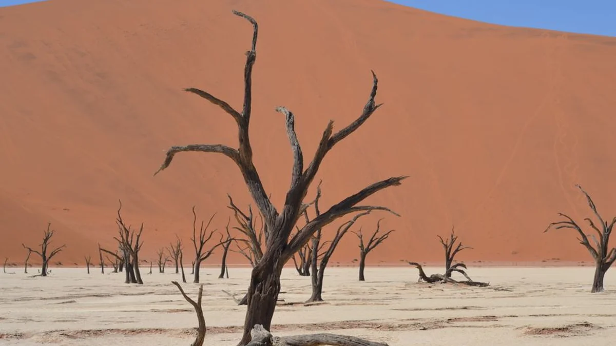 The consequences of the severe drought could soon be reflected on the shelves