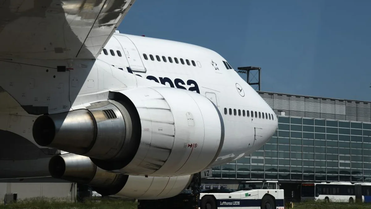 The plane hit birds, flames erupted on the engine