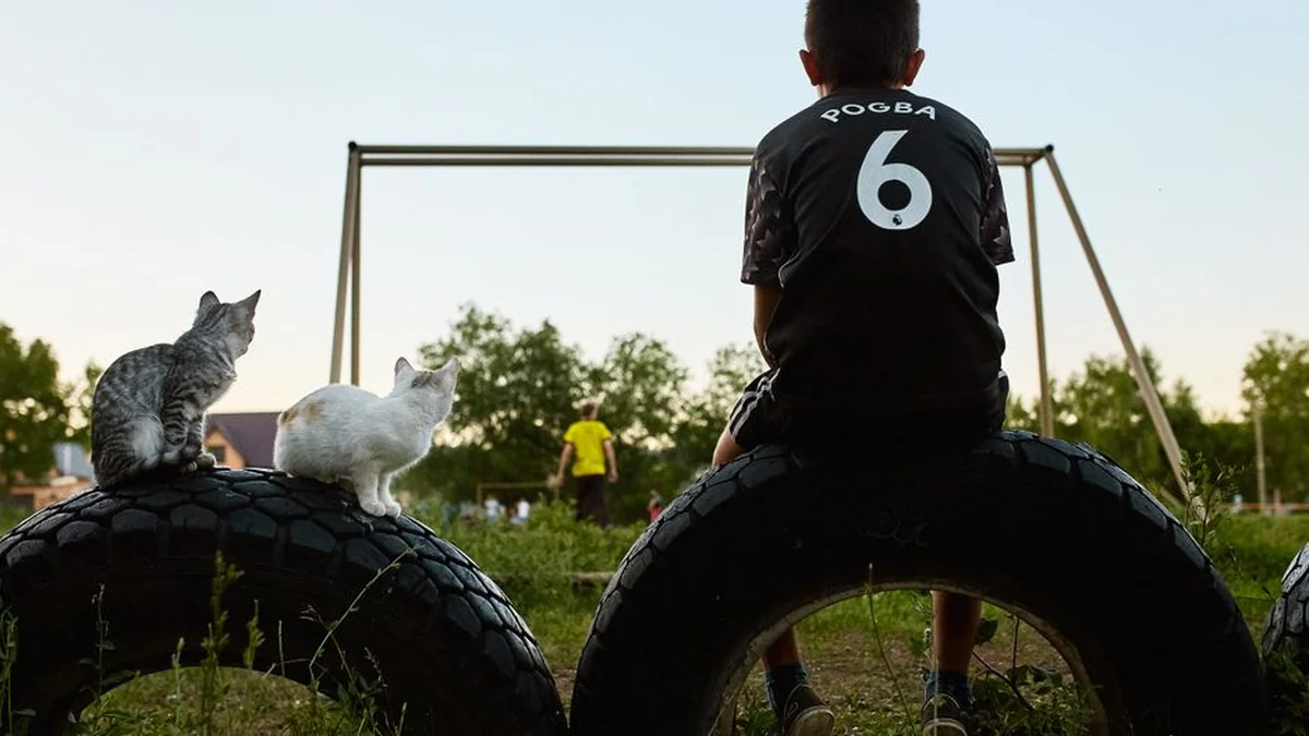 Delije in Grobari v en glas skandirali vojnemu zločincu Mladiću