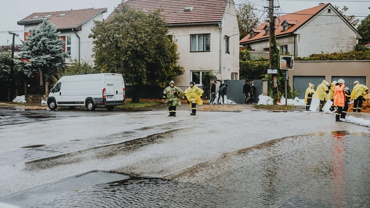 Potres AfD, nauki in nove volitve: ‘Potem bomo imeli 50 ali 55 odstotkov!’
